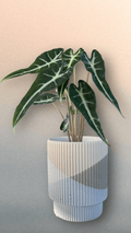 Bambino In Lars Planter