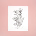 A white paper on a pink background with a black drawing of belladonna