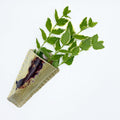 Bringle Mountain Wall Vase Two - No One Alike