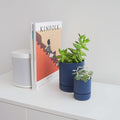 Conifer Homewares - Hemlock Planter