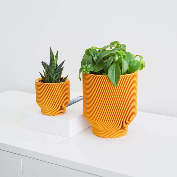Conifer Homewares - Spruce Planter
