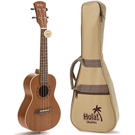 Mahogany concert ukulele with tan padded gig bag