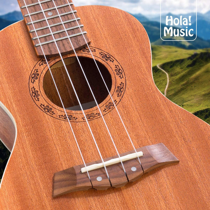 Mahogany ukulele soundhole and bridge with visible strings
