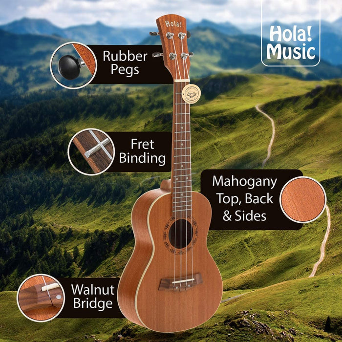 Mahogany concert ukulele with fretboard and tuning pegs visible