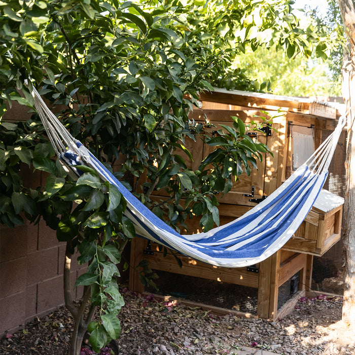 a blue and white striped hammock hung between two trees.