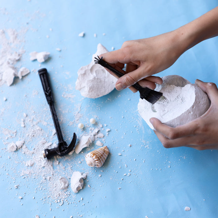a seashell excavation kit including a compacted seashell filled with seashells, hammer, and brush.