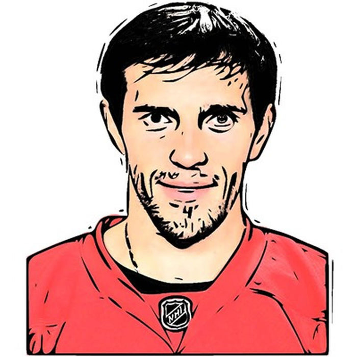 Pavel Datsyuk Pinata