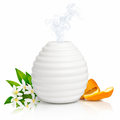 PURESSENTIEL DIFFUSEUR ULTRASONIQUE API