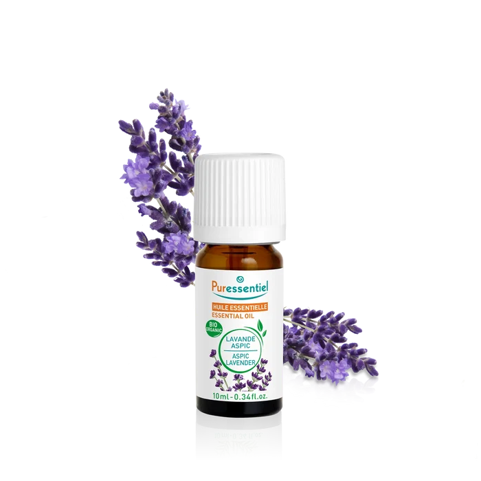 Great Lavender