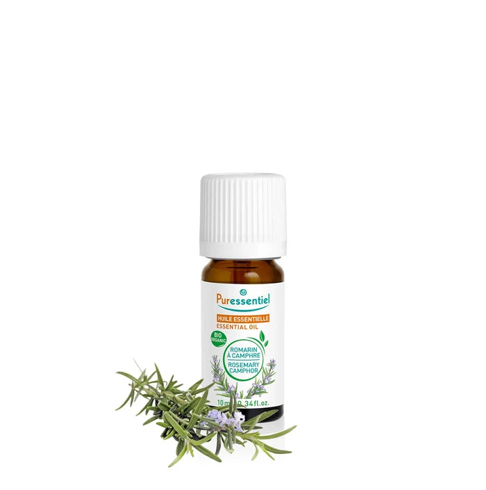 Camphor Rosemary