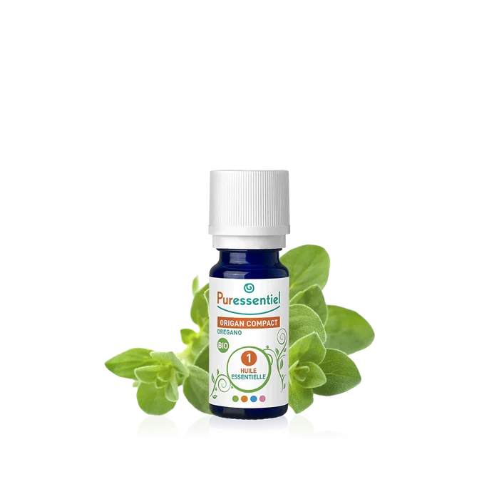 Oregano Compact