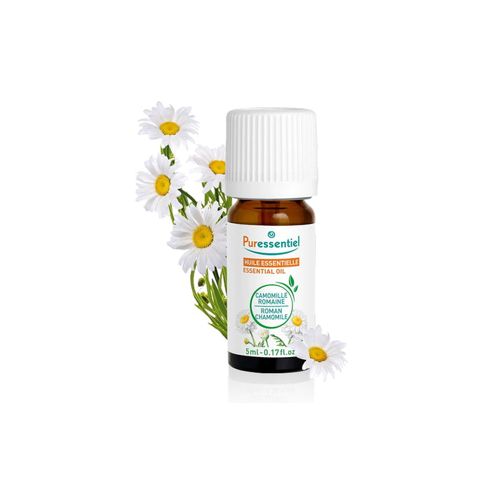 Roman Camomile