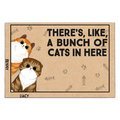 There's Like A Bunch Of Cats In Here- Personalized Doormat, Gift For Cat Lovers , Cat Mom Home Decor