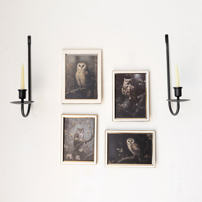 Two black wall scones holding white candles. In between the scones are four portraits of owls in white frames.